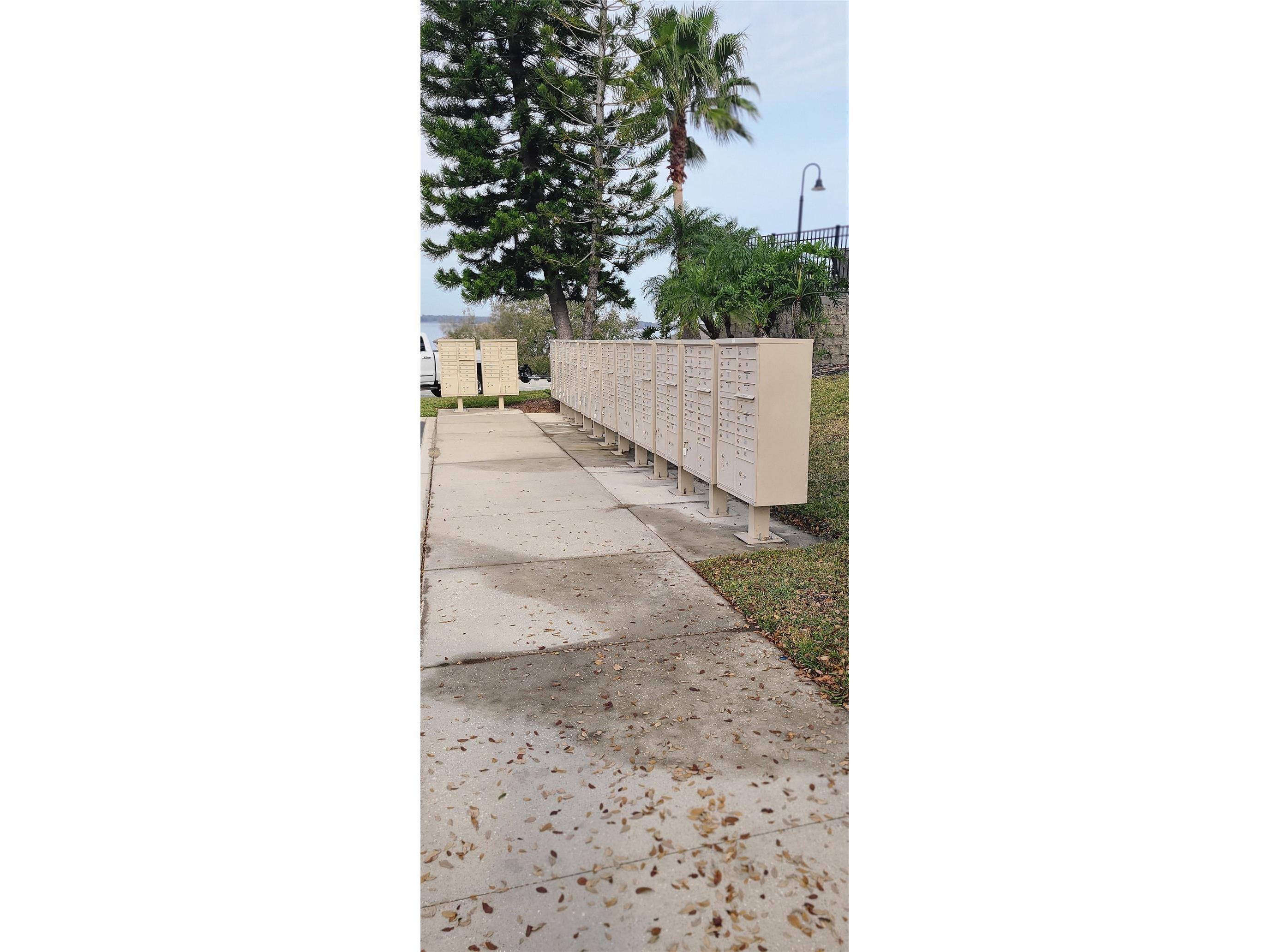 780 Waterfern Trail Drive Auburndale FL 33823 - LAKE VAN LAKE ALFRED MEDORA P4937592 image58