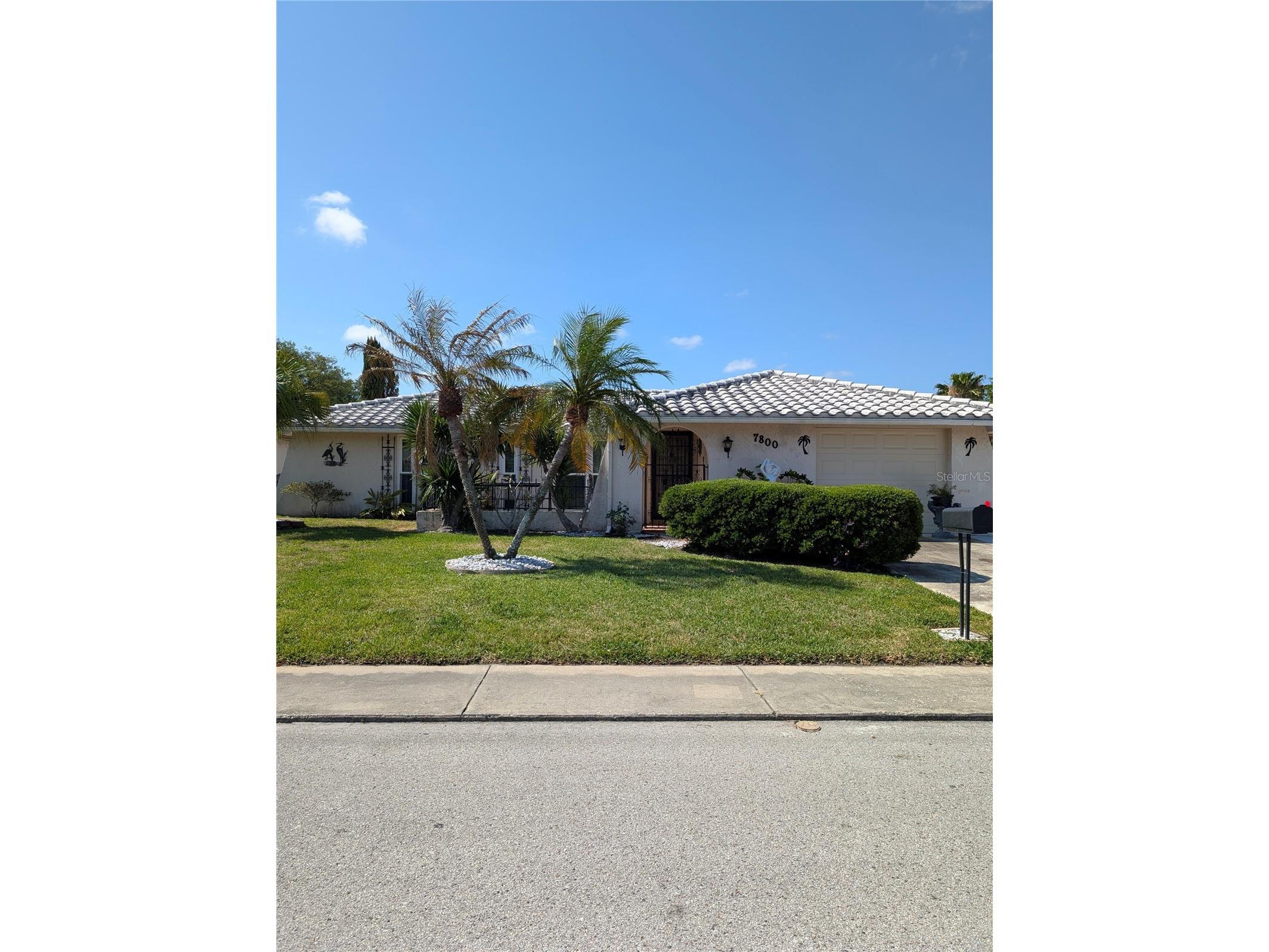 7800 Brookridge Drive Port Richey FL 34668 TB8500567 image1