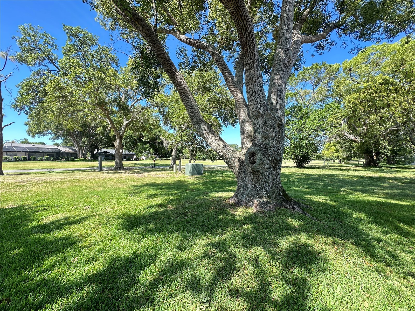 7800 Fairlawn Drive Hudson FL 34667 W7886516 image33