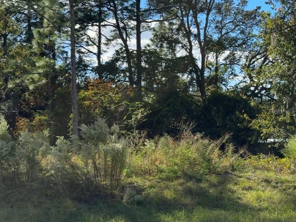 7800 N Primrose Drive Citrus Springs FL 34434 TB8438862 image1