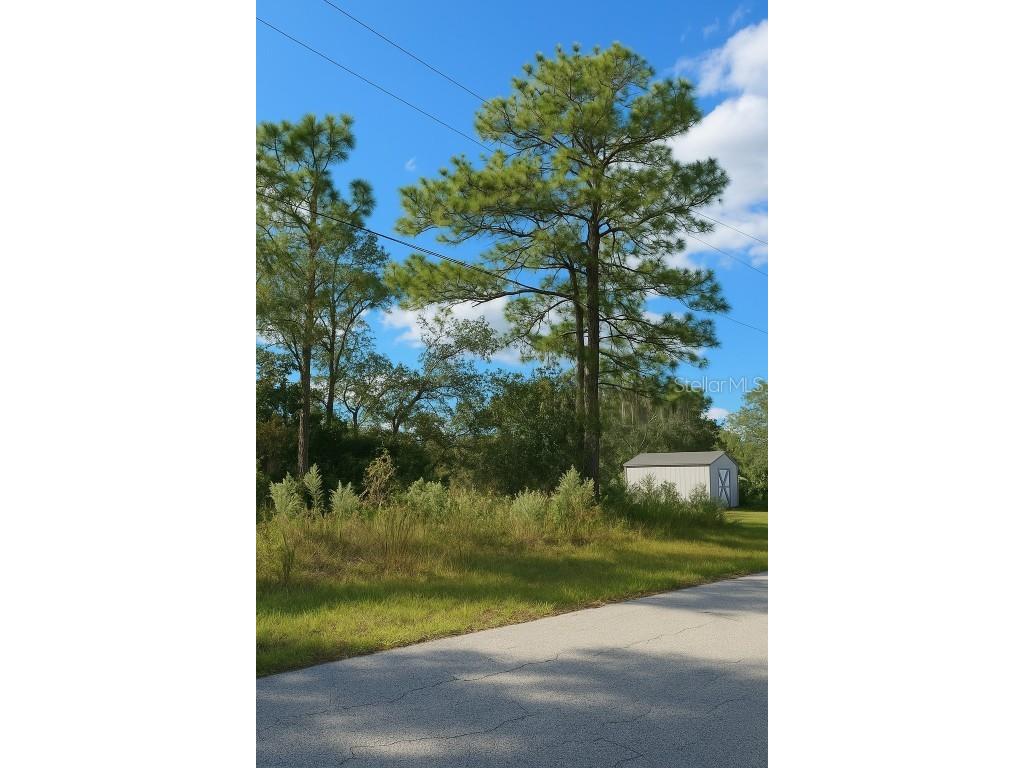 7800 N Primrose Drive Citrus Springs FL 34434 TB8438862 image2