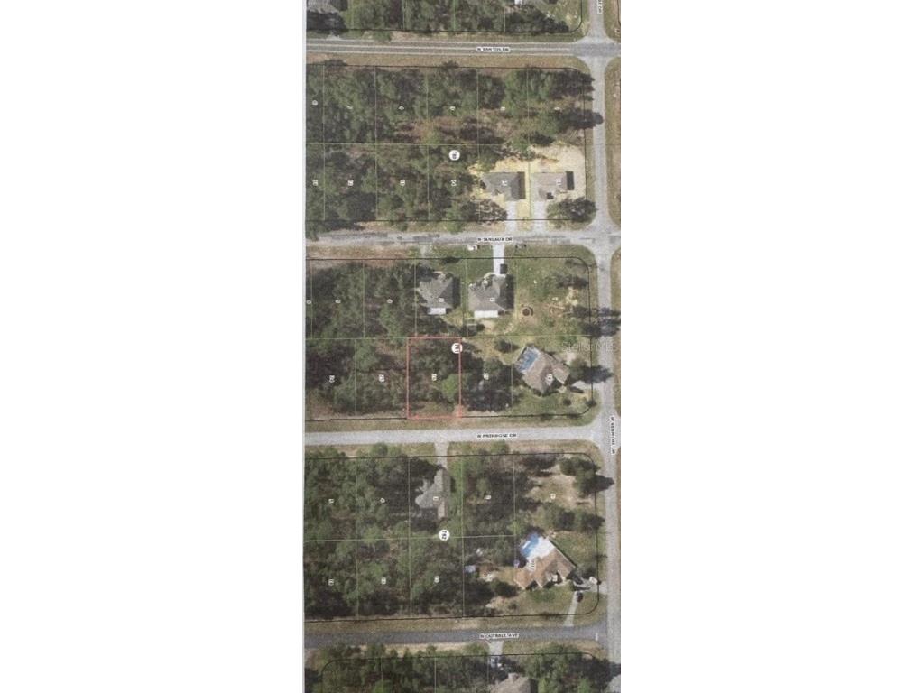7800 N Primrose Drive Citrus Springs FL 34434 TB8438862 image3