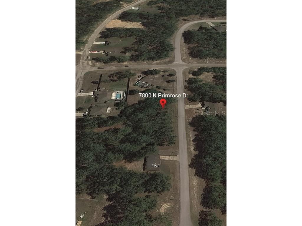 7800 N Primrose Drive Citrus Springs FL 34434 TB8438862 image4