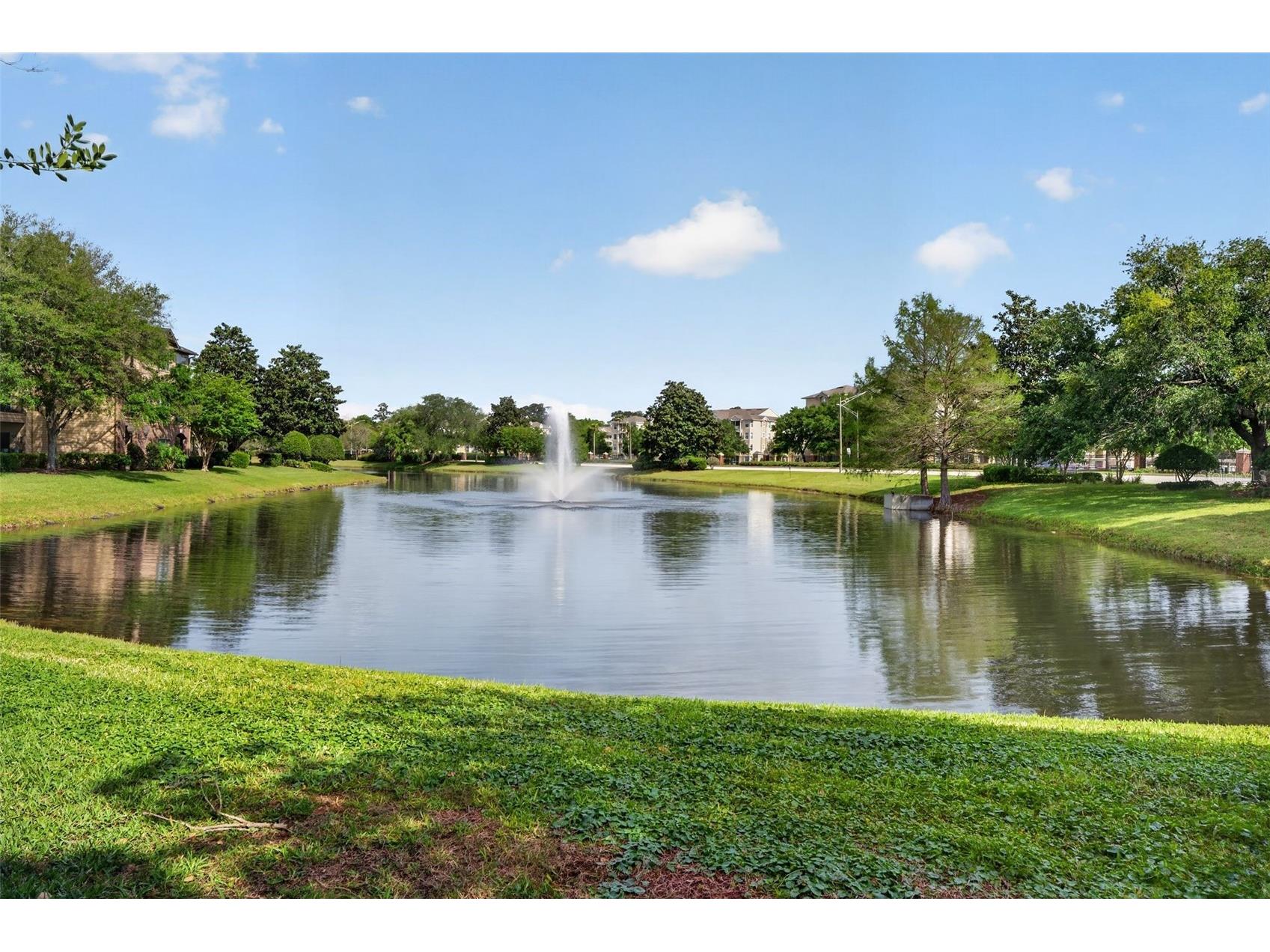 7800 Point Meadows Drive #1338 Jacksonville FL 32256 FC317908 image60