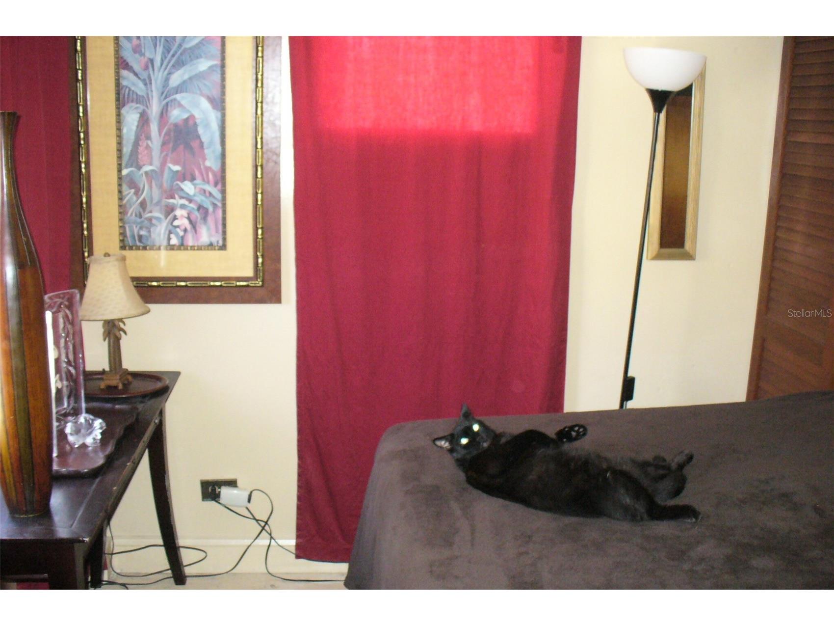 7801 34th Avenue N #2 Saint Petersburg FL 33710 TB8489019 image23