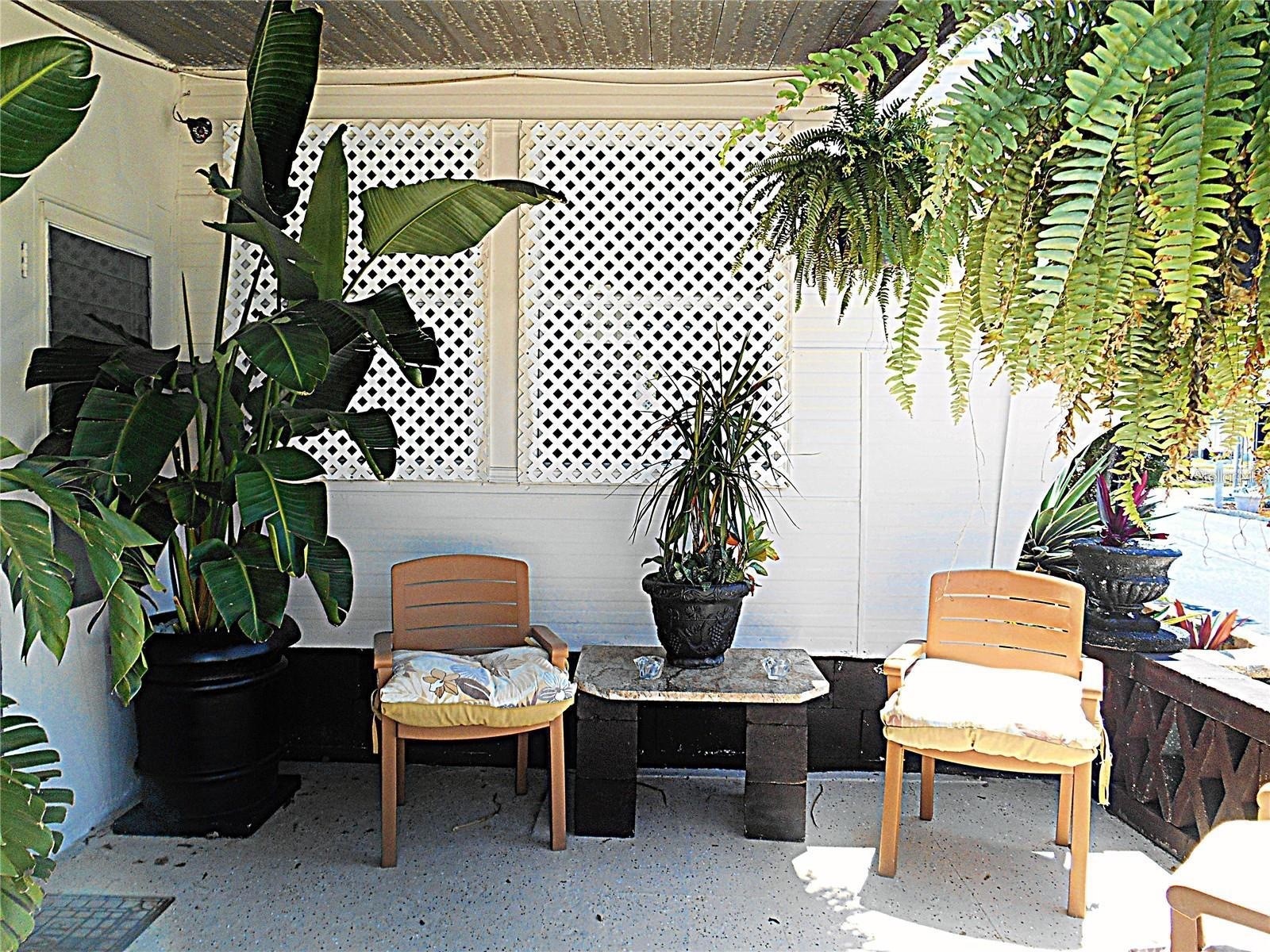7801 34th Avenue N #2 Saint Petersburg FL 33710 TB8489019 image3