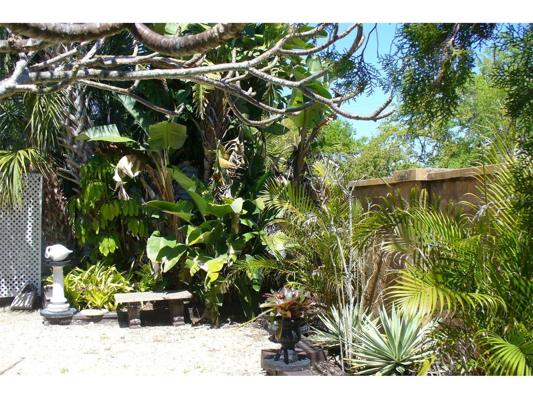 7801 34th Avenue N #2 Saint Petersburg FL 33710 TB8489019 image9