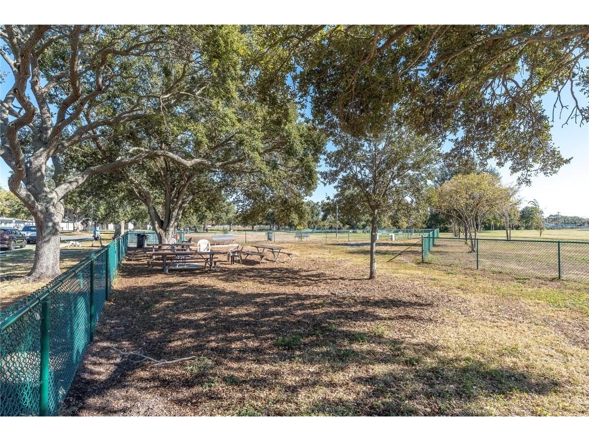 7801 34th Avenue N #27 Saint Petersburg FL 33710 TB8448716 image27