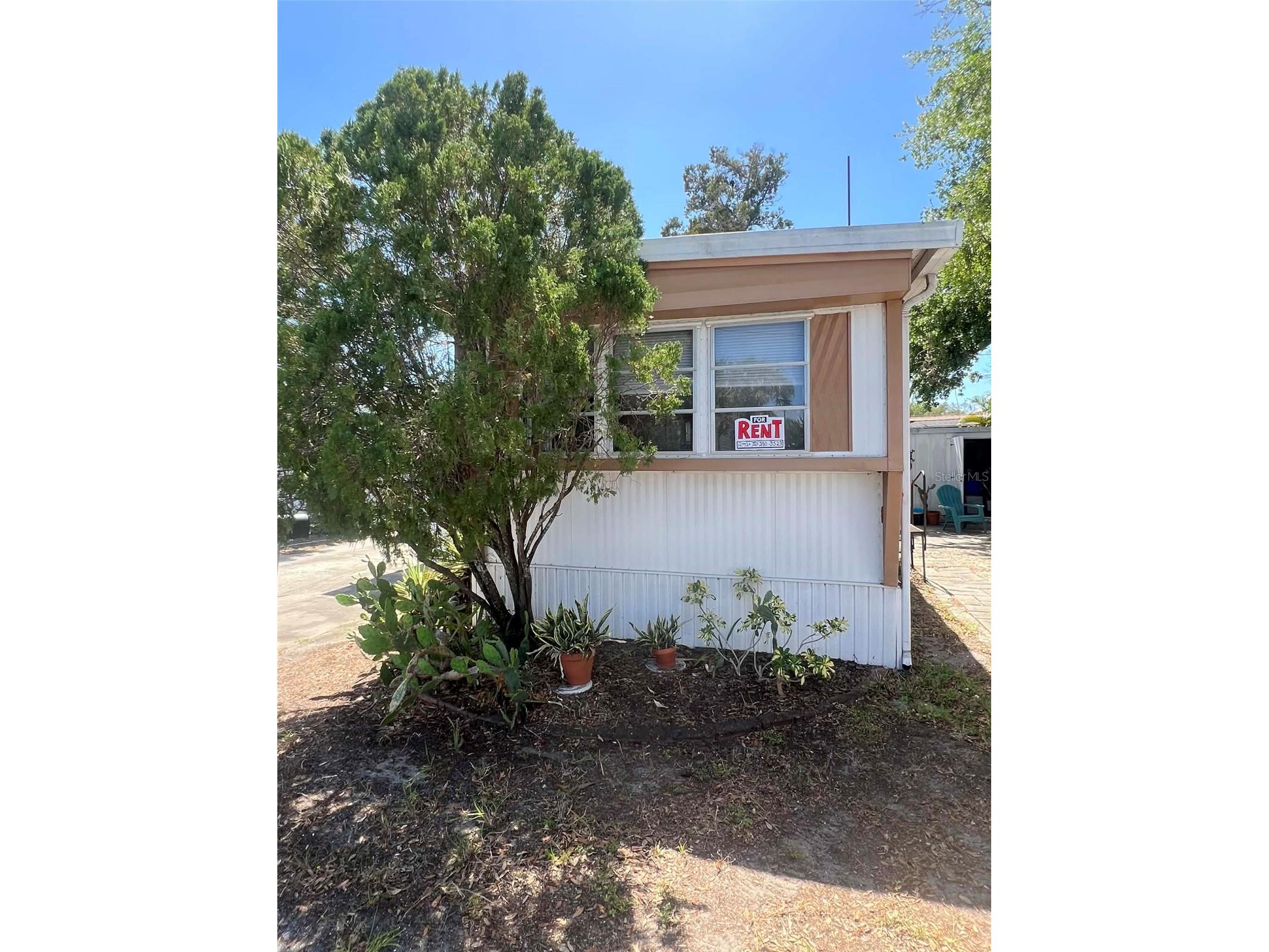 7801 34th Avenue N #88 Saint Petersburg FL 33710 TB8503440 image16