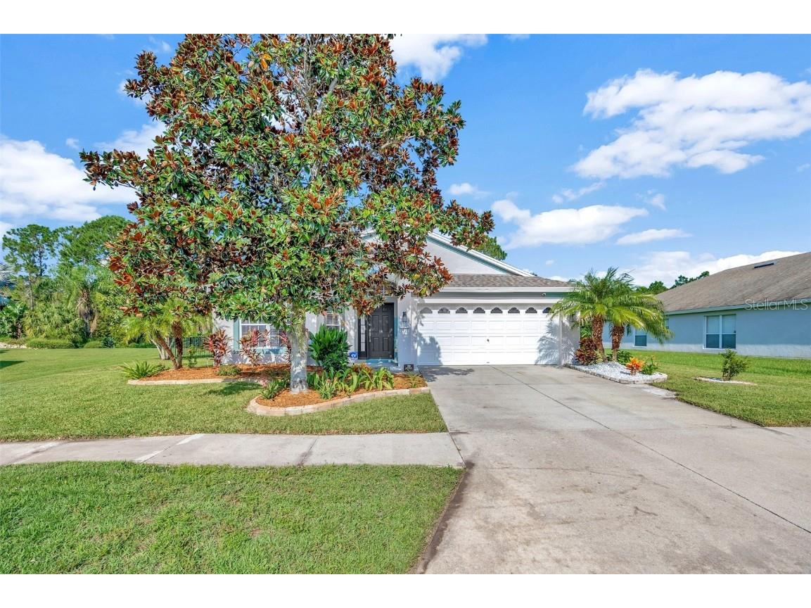 7801 Blackhill Street Wesley Chapel FL 33545 T3550367 image1