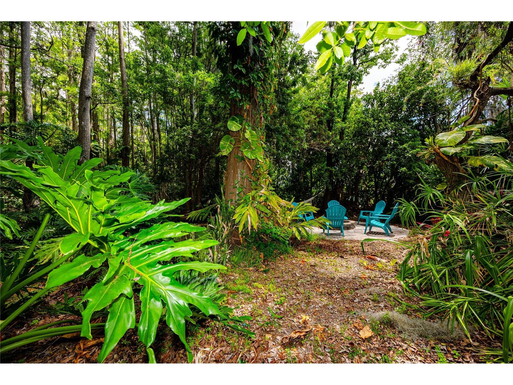 7801 Hamlet Drive New Port Richey FL 34653 TB8506315 image46