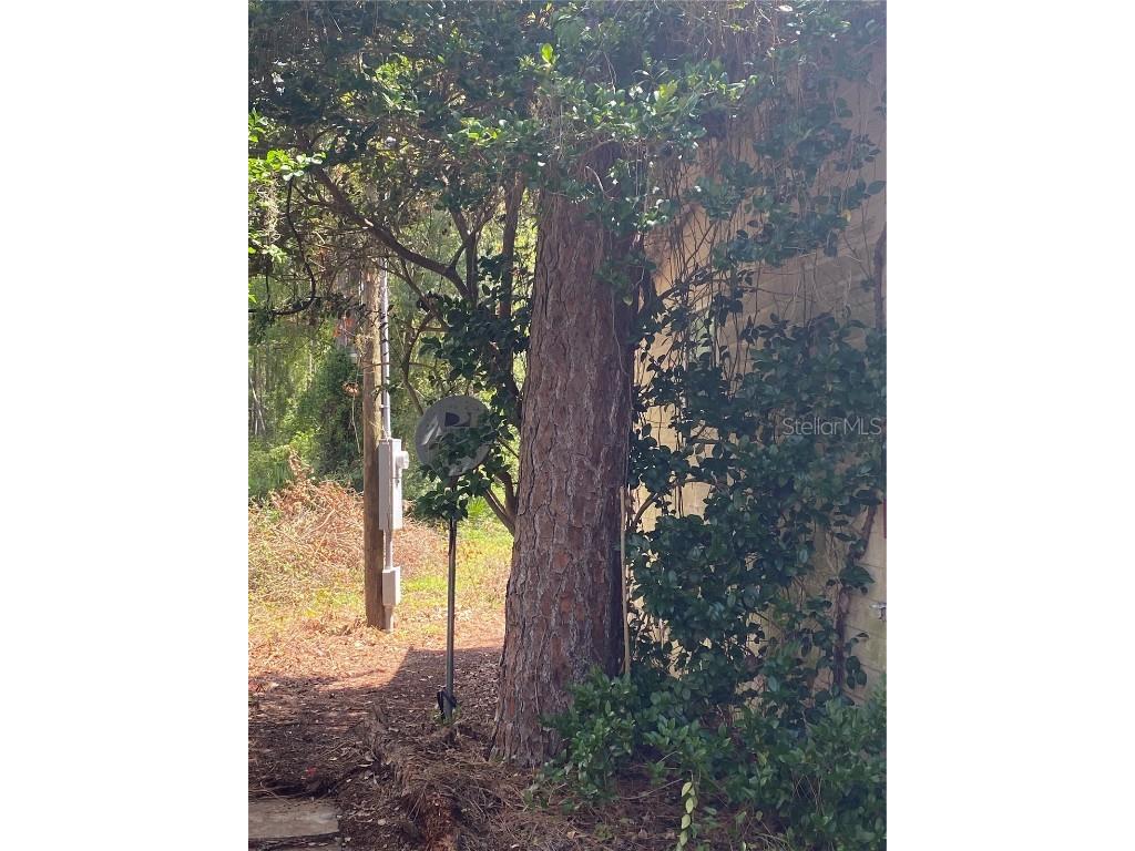 7801 NE 192nd Place Citra FL 32113 OM704802 image10