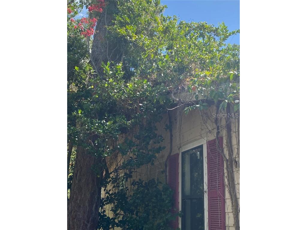 7801 NE 192nd Place Citra FL 32113 OM704802 image11