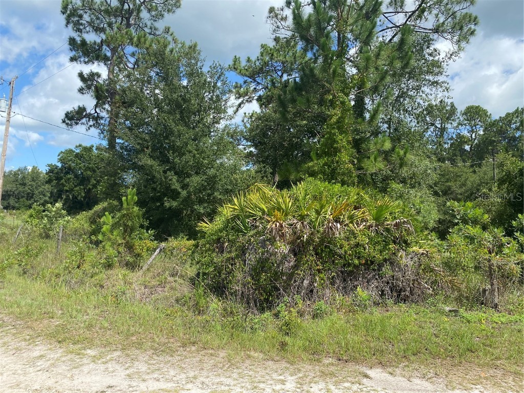 7801 NE 192nd Place Citra FL 32113 OM704802 image13