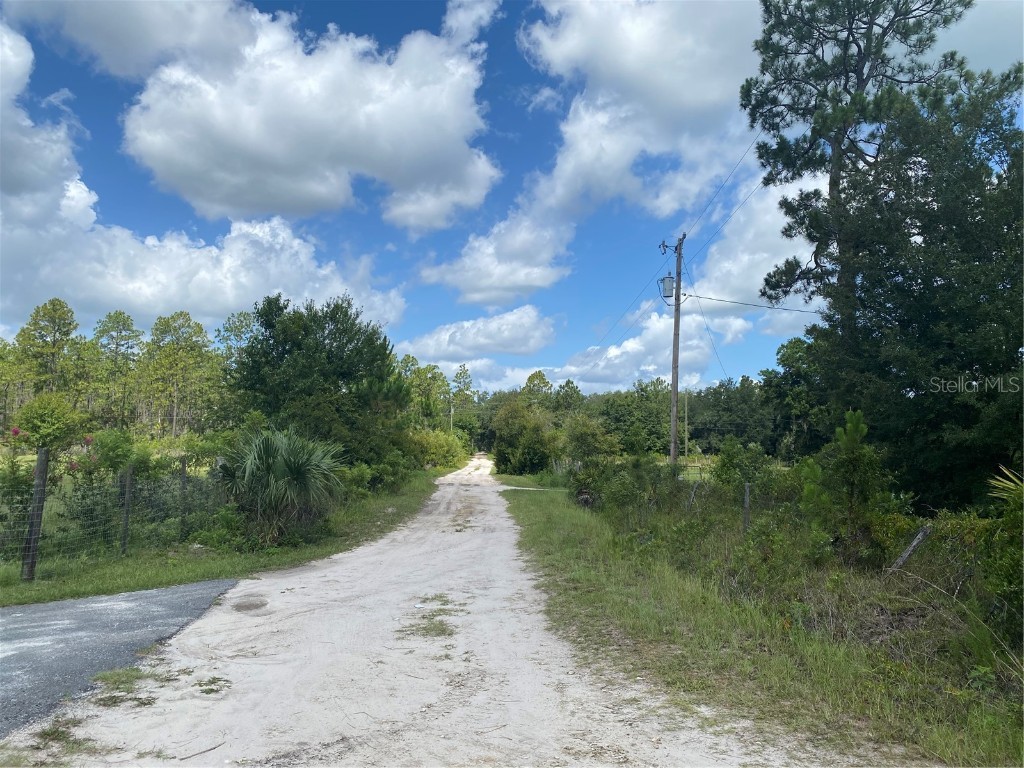 7801 NE 192nd Place Citra FL 32113 OM704802 image14