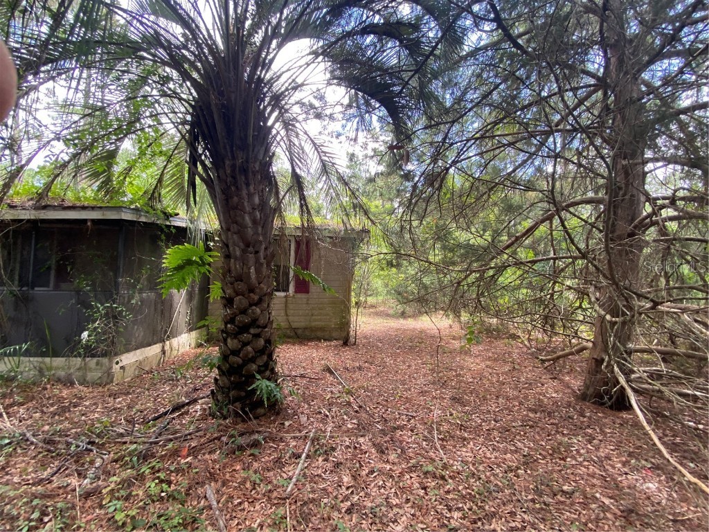 7801 NE 192nd Place Citra FL 32113 OM704802 image17