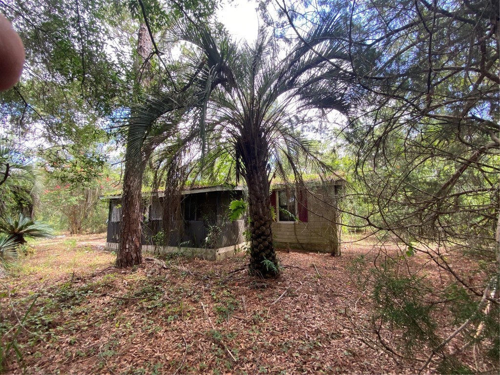 7801 NE 192nd Place Citra FL 32113 OM704802 image18