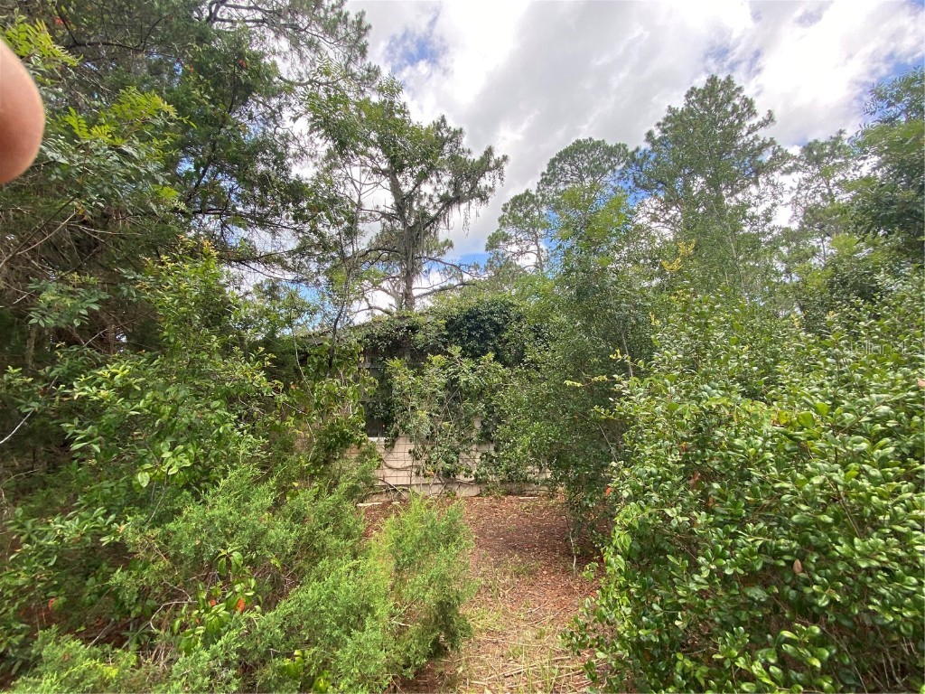 7801 NE 192nd Place Citra FL 32113 OM704802 image19