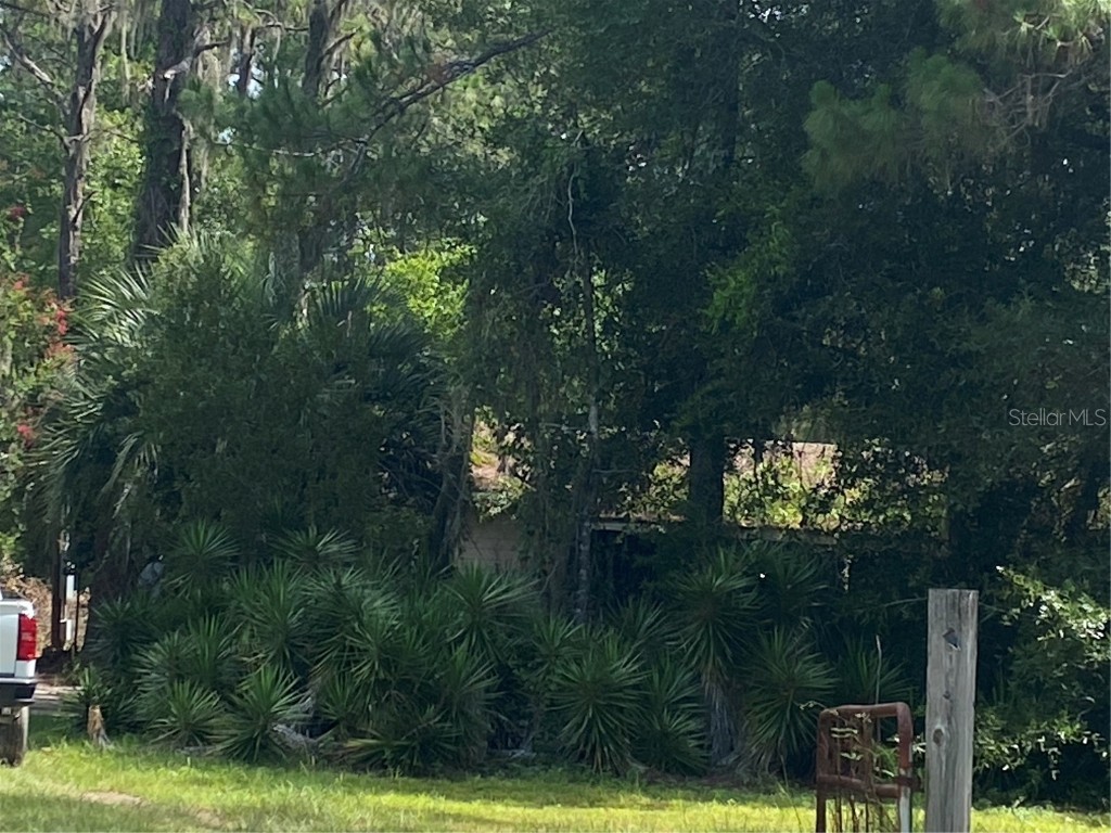 7801 NE 192nd Place Citra FL 32113 OM704802 image2