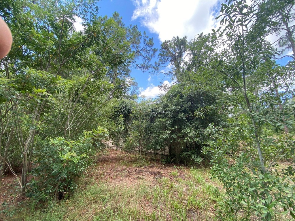 7801 NE 192nd Place Citra FL 32113 OM704802 image20