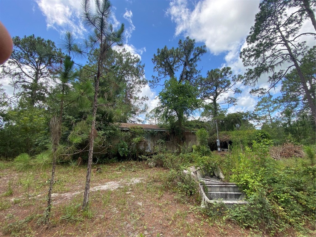 7801 NE 192nd Place Citra FL 32113 OM704802 image21