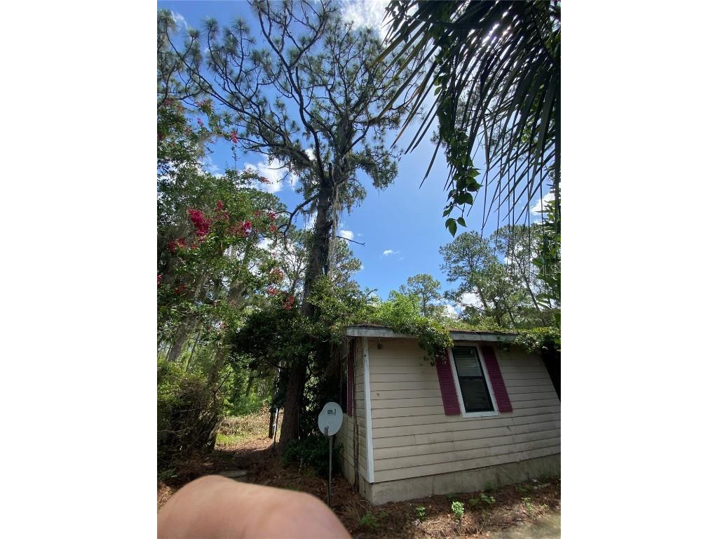 7801 NE 192nd Place Citra FL 32113 OM704802 image27