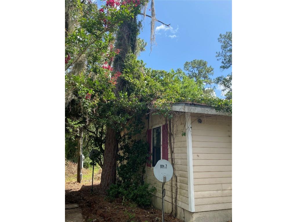 7801 NE 192nd Place Citra FL 32113 OM704802 image28