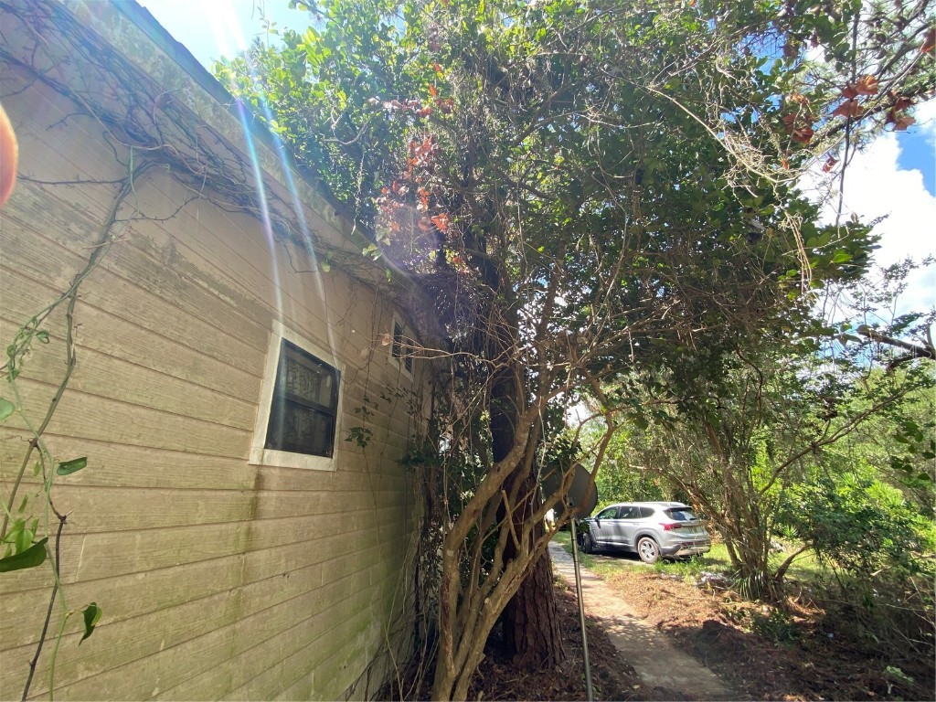 7801 NE 192nd Place Citra FL 32113 OM704802 image3