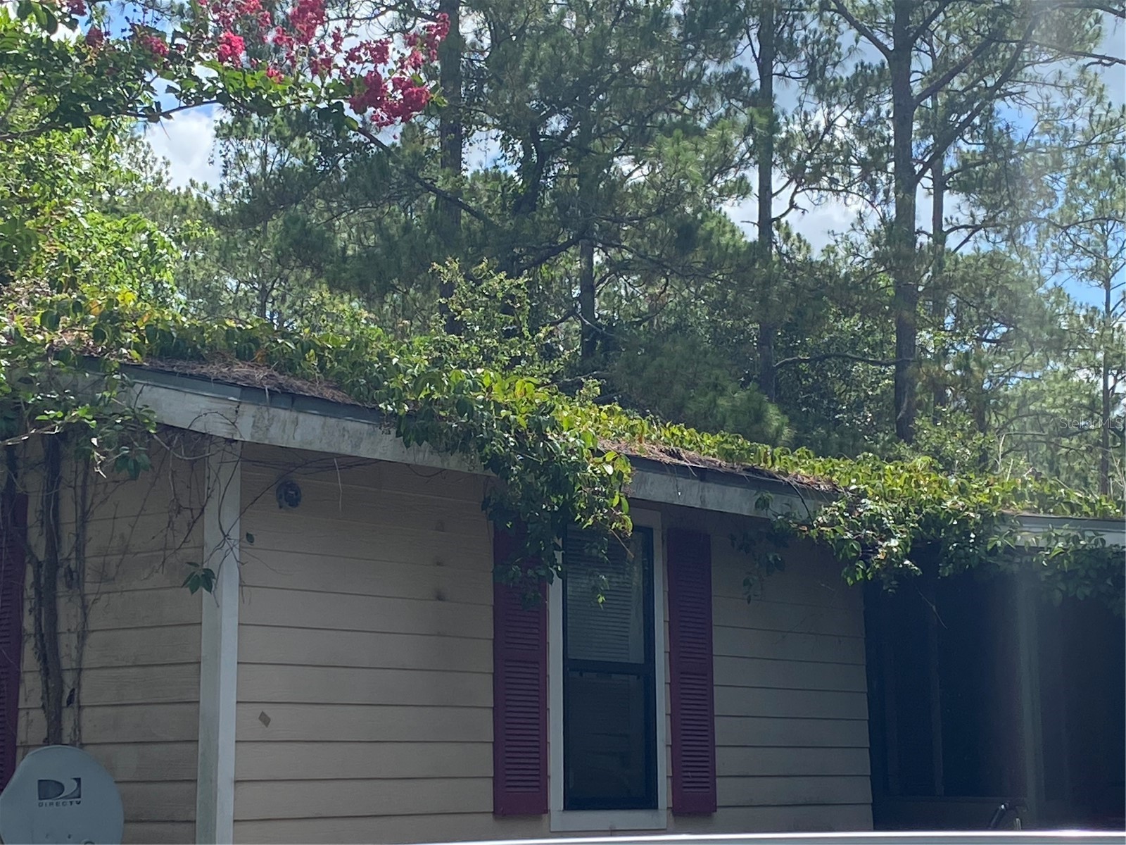 7801 NE 192nd Place Citra FL 32113 OM704802 image32