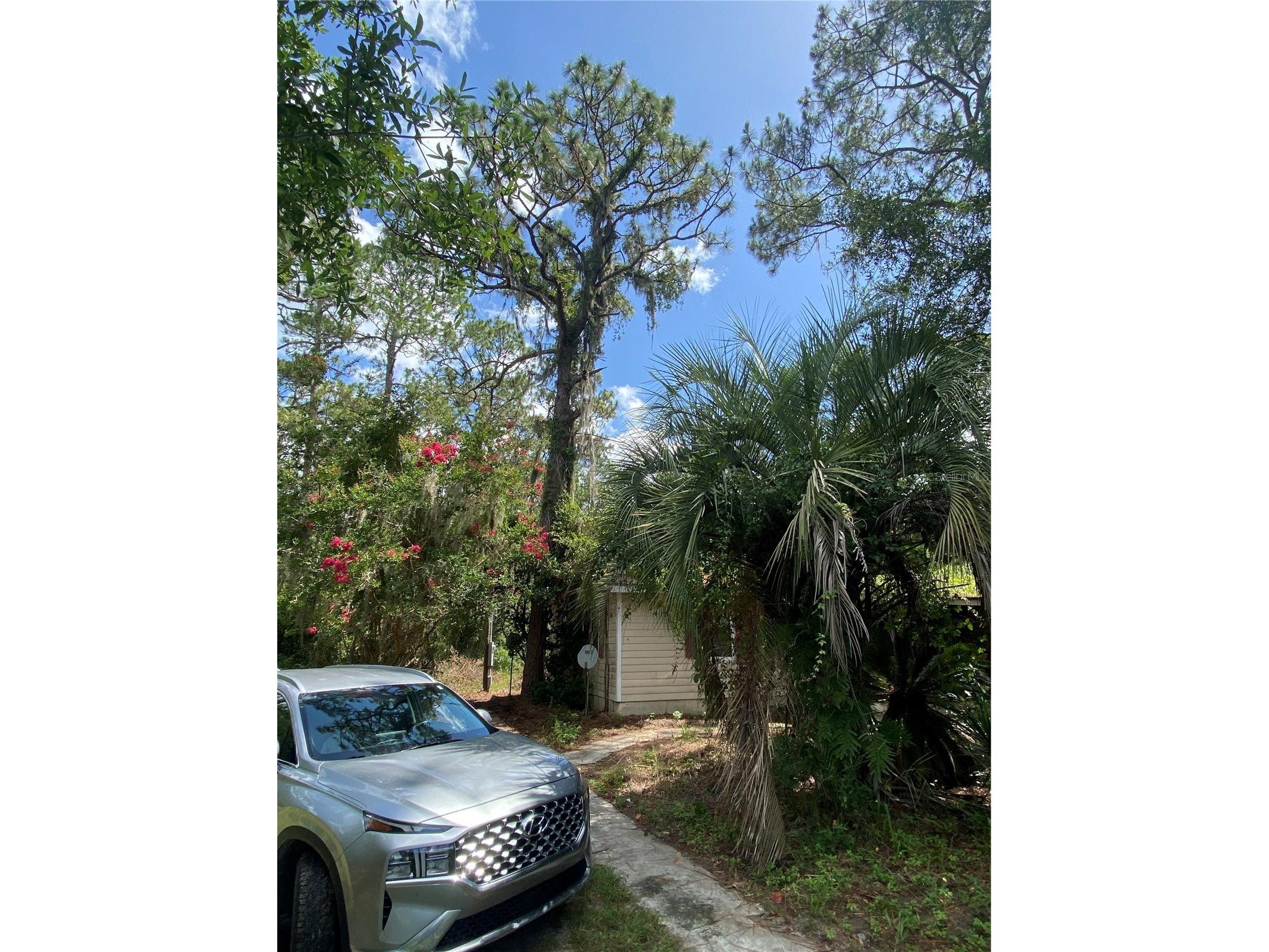 7801 NE 192nd Place Citra FL 32113 OM704802 image33