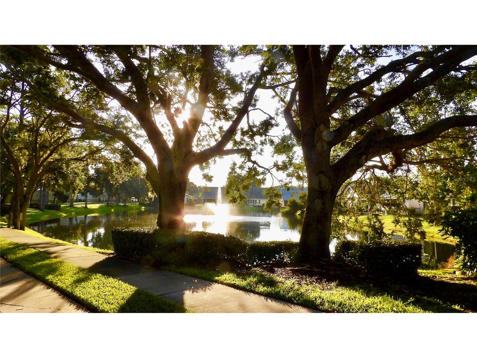 7801 Ontario Street Circle Sarasota FL 34243 A4676752 image52