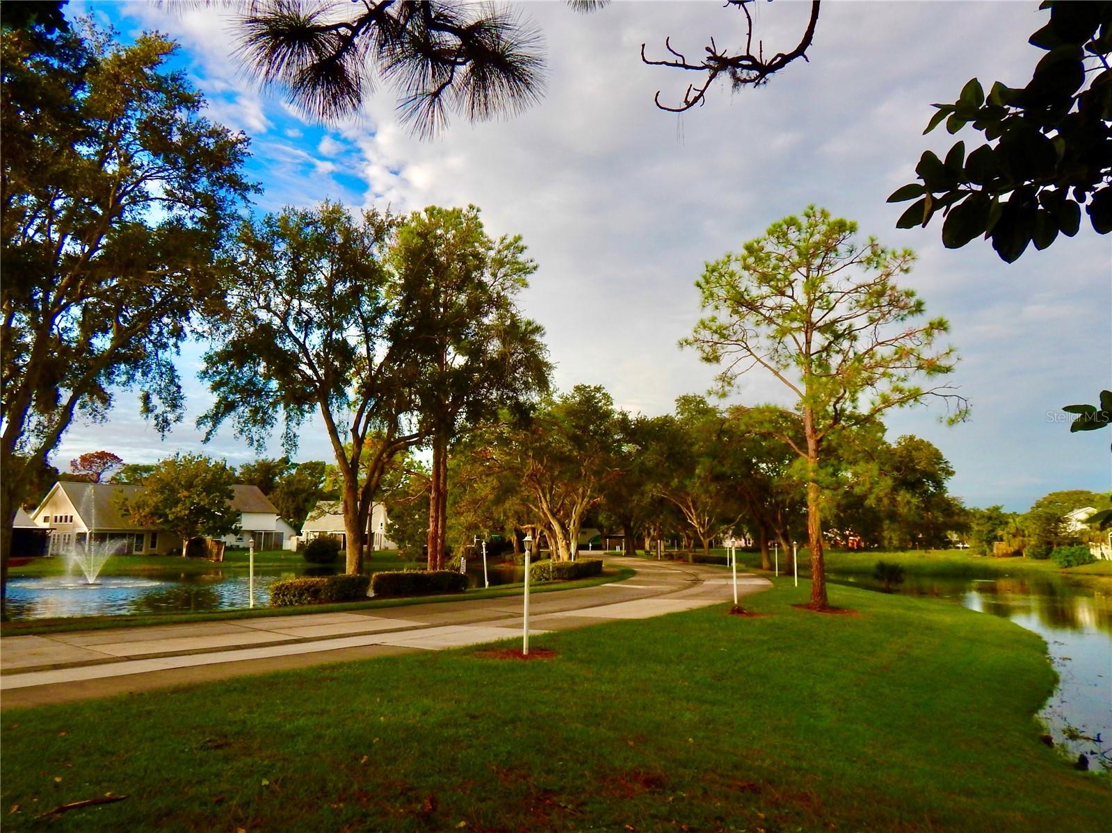 7801 Ontario Street Circle Sarasota FL 34243 A4676752 image54