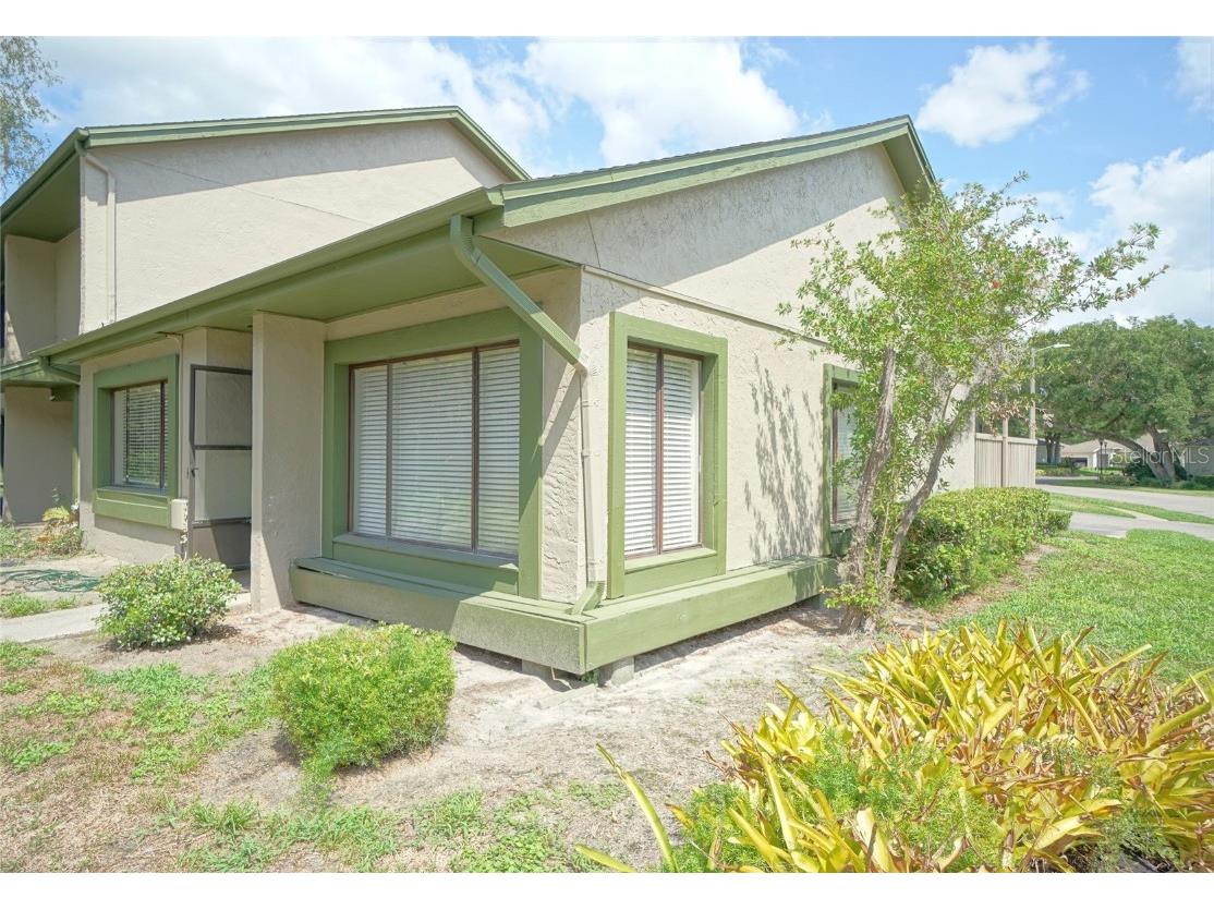 7802 Amberlea Court Temple Terrace FL 33637 T3536205 image1