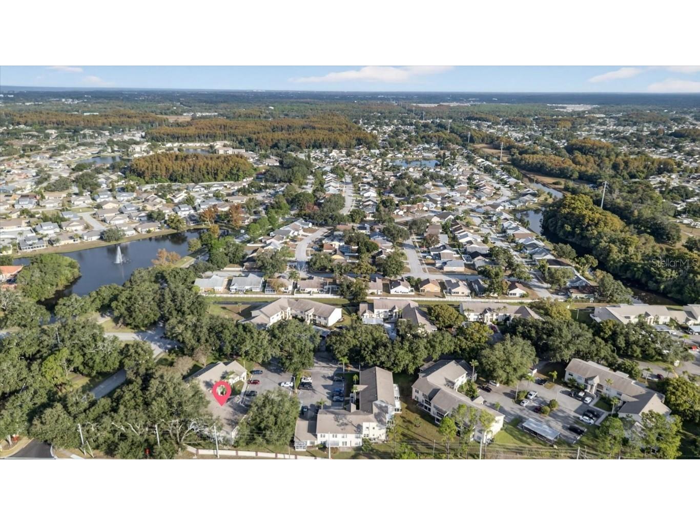 7802 Hardwick Drive #1116 New Port Richey FL 34653 TB8449820 image53