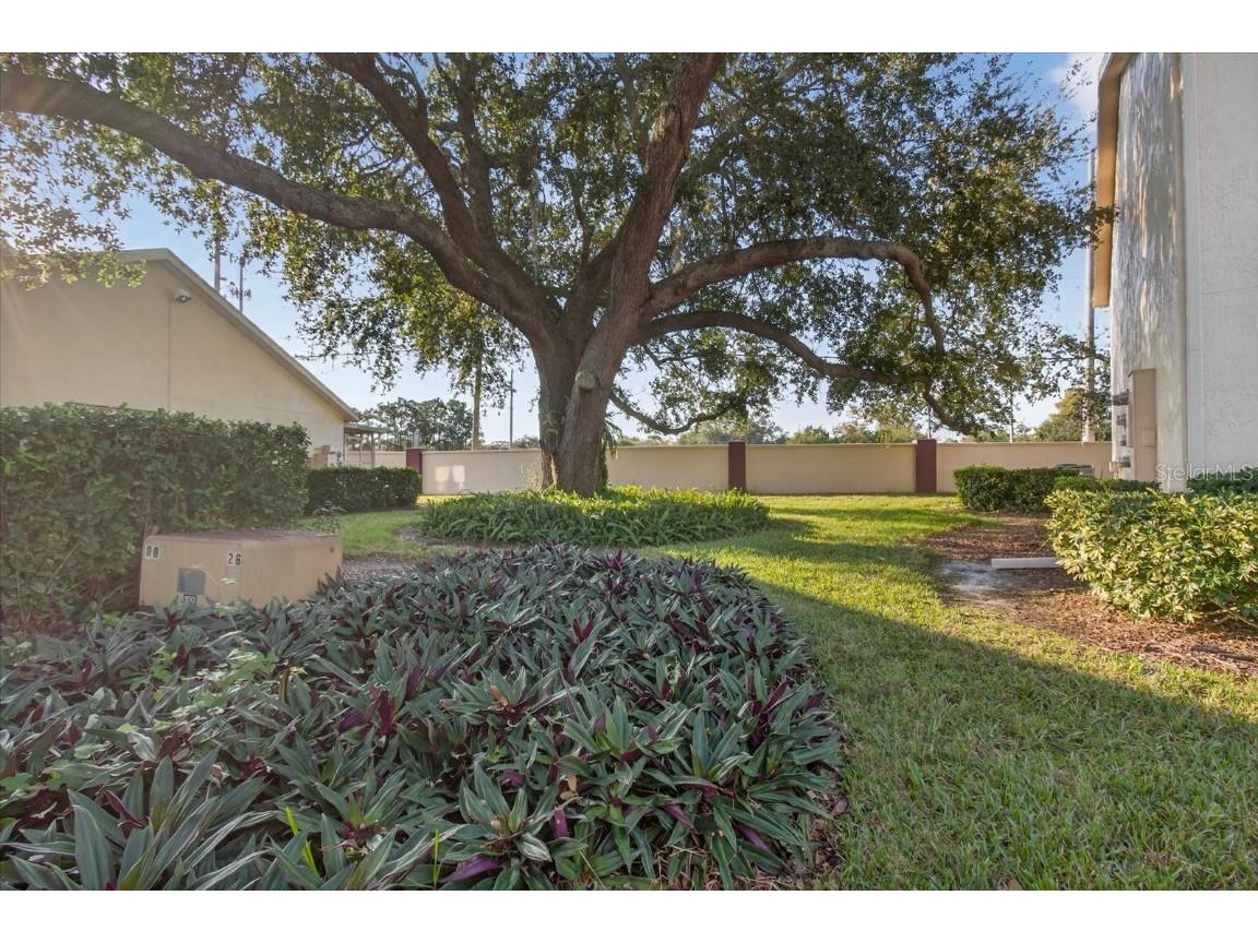 7802 Hardwick Drive #1116 New Port Richey FL 34653 TB8449820 image60
