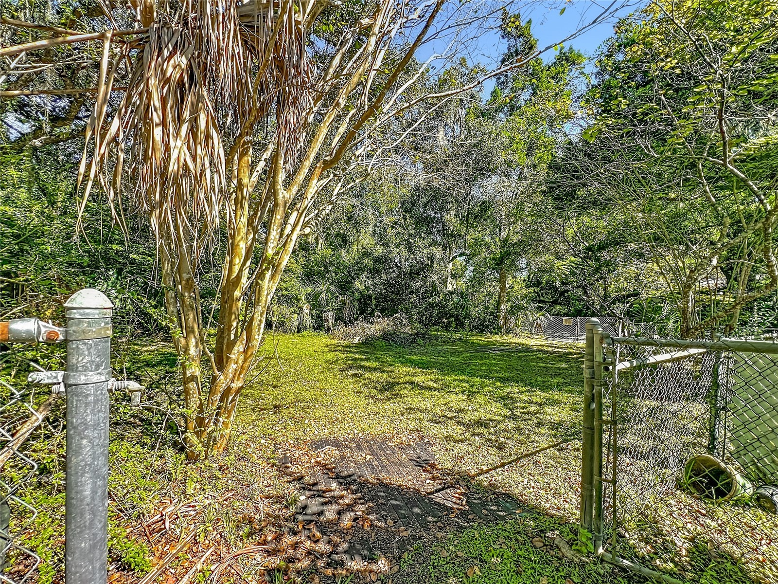 7802 Mizell Street Coleman FL 33521 OM724271 image22