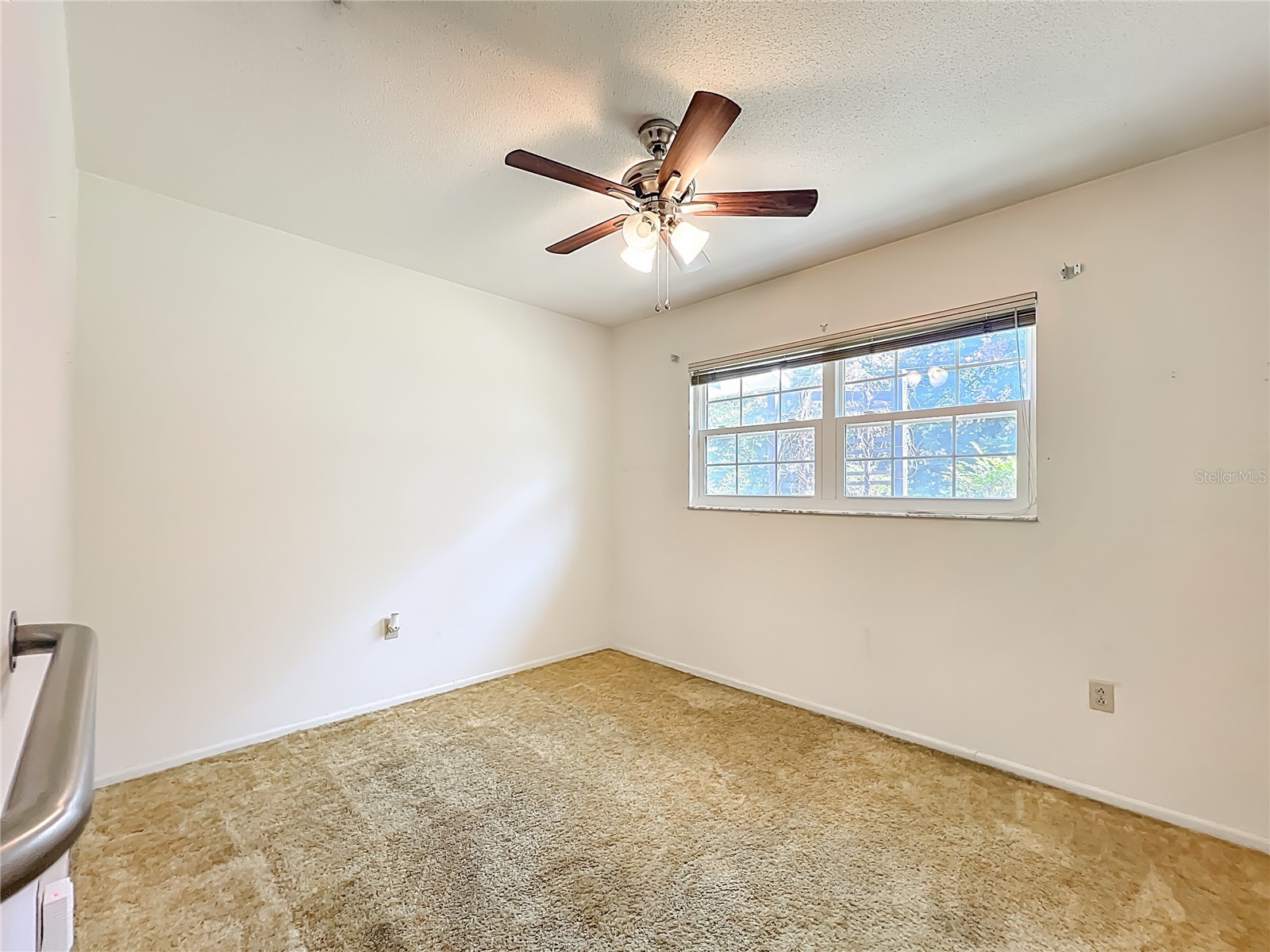 7802 Mizell Street Coleman FL 33521 OM724271 image53