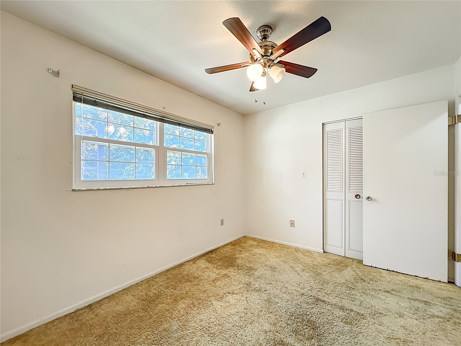 7802 Mizell Street Coleman FL 33521 OM724271 image55