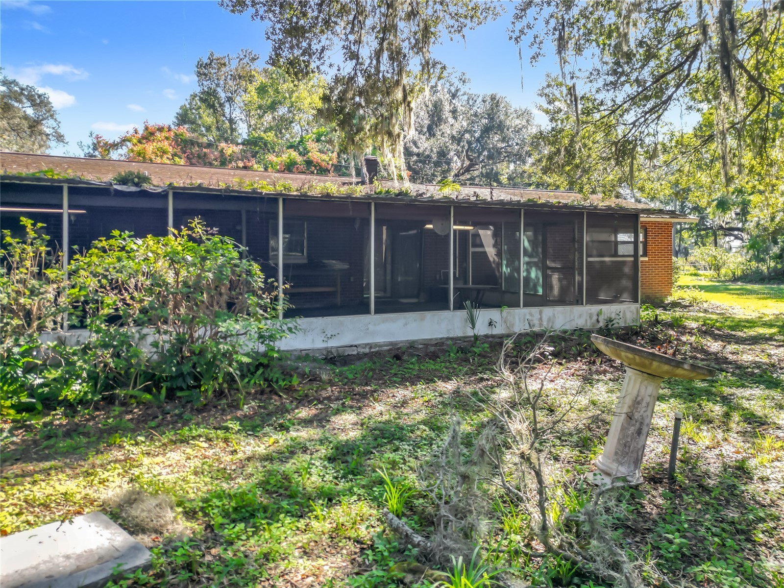 7802 Mizell Street Coleman FL 33521 OM724271 image9