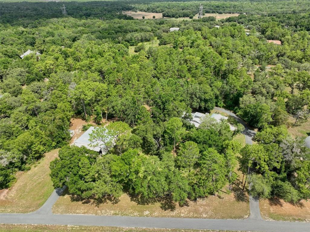 7802 N Fairwind Loop Hernando FL 34442 OM703722 image43