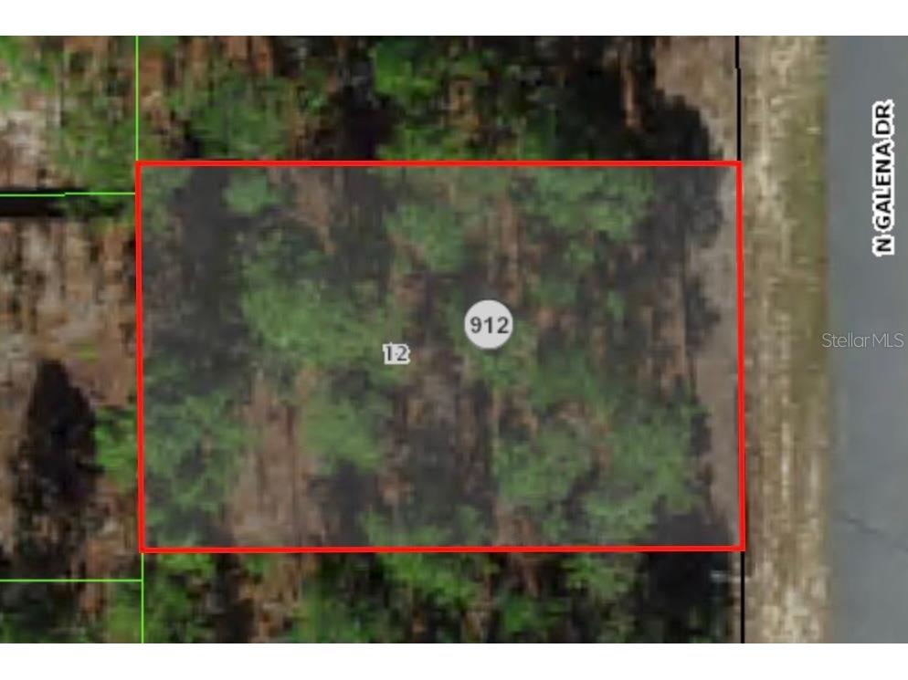 7802 N Galena Avenue Citrus Springs FL 34434 A4599101 image1