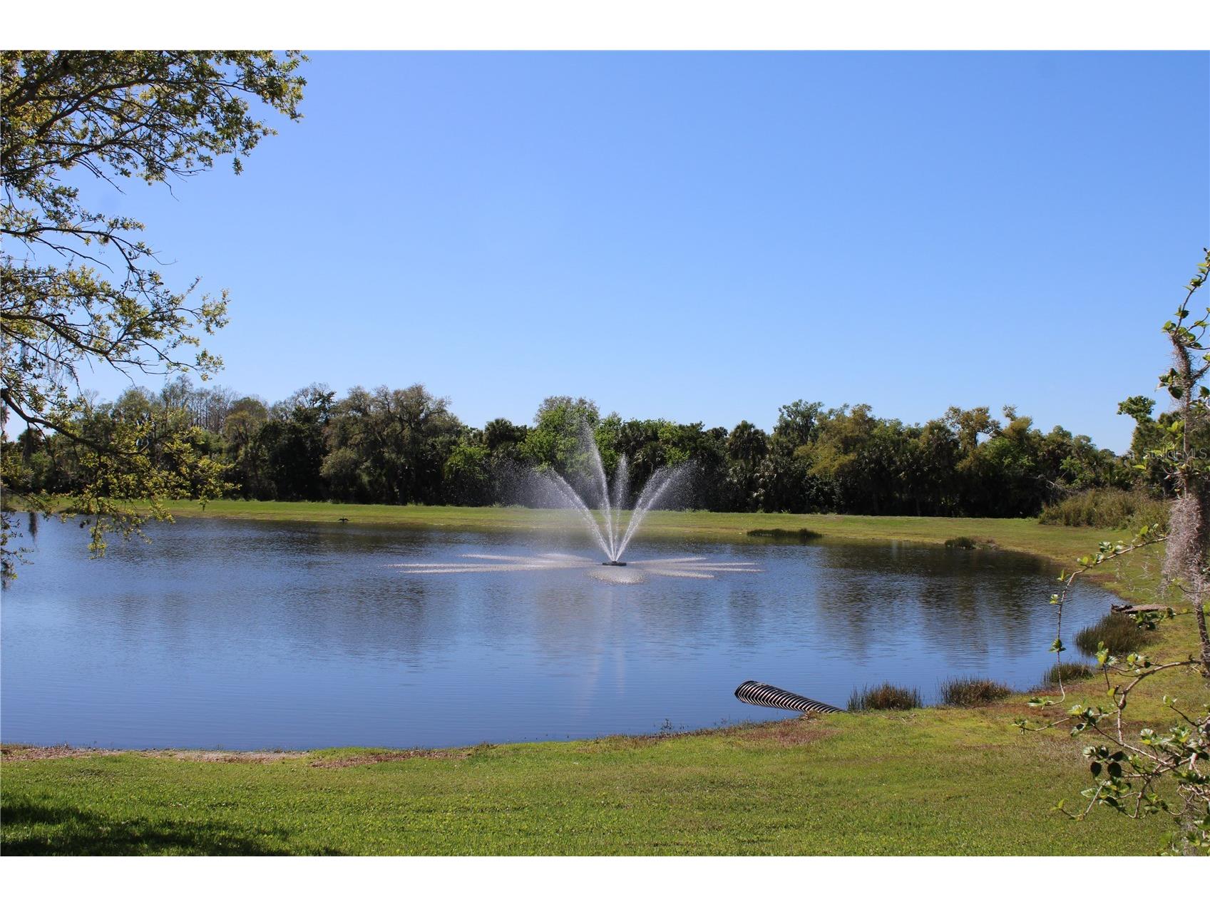7803 33rd Street E Sarasota FL 34243 A4686792 image46