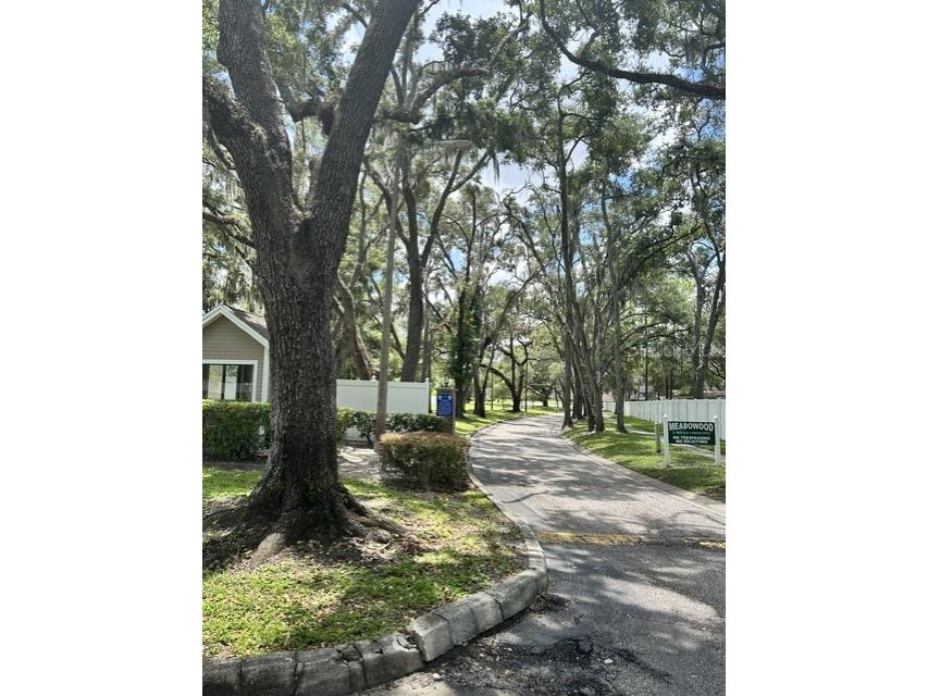 7803 Amberlea Court Temple Terrace FL 33637 TB8531928 image21