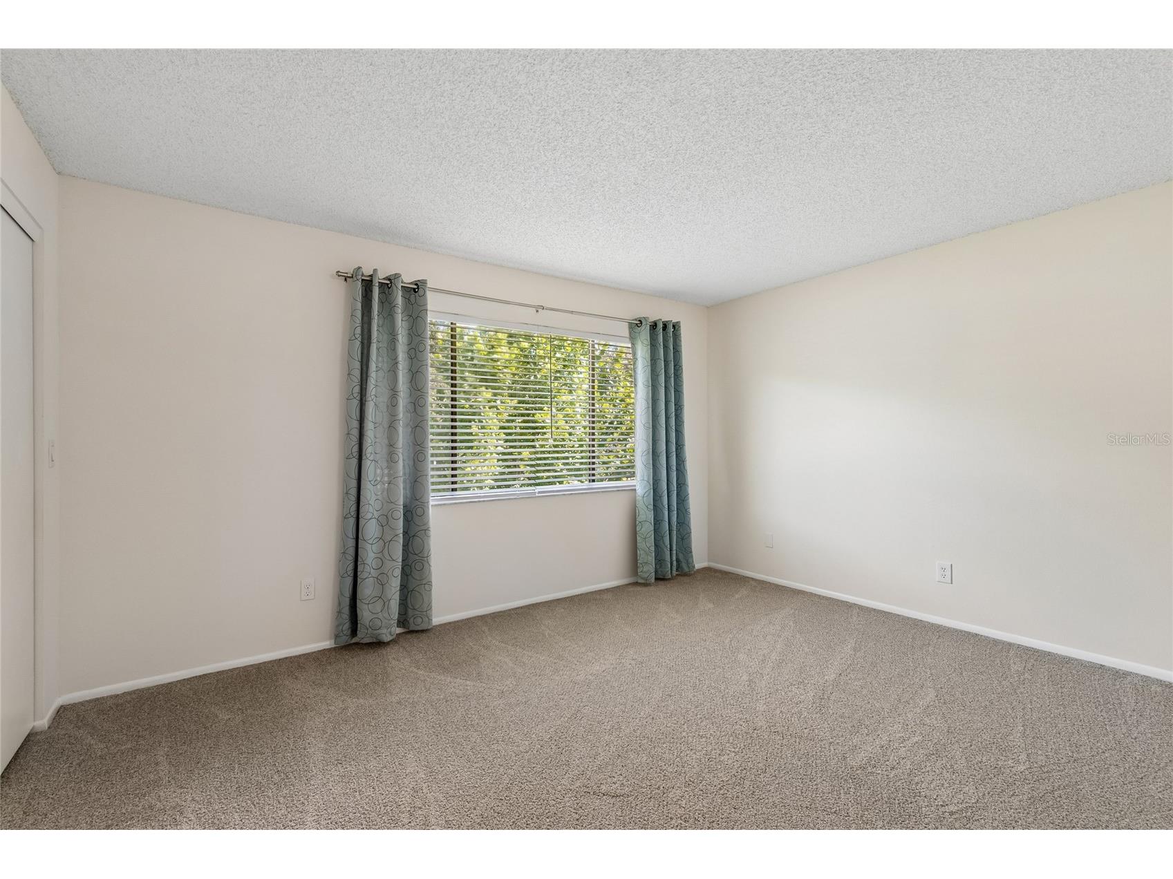 7803 Amberlea Court Temple Terrace FL 33637 TB8531928 image9