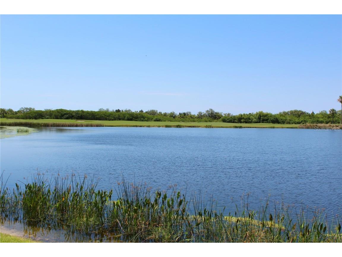 7803 Grand Estuary Trail #205 Bradenton FL 34212 A4648746 image22