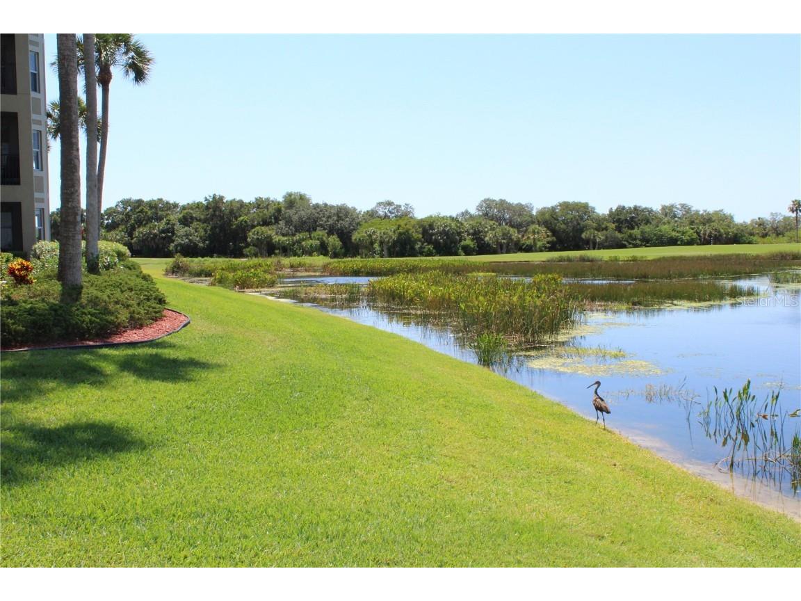 7803 Grand Estuary Trail #205 Bradenton FL 34212 A4648746 image23