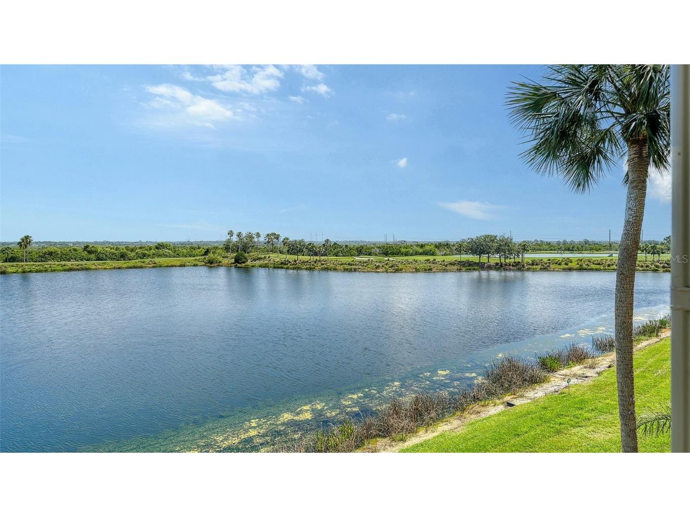 7803 Grand Estuary Trail #307 Bradenton FL 34212 A4654271 image14