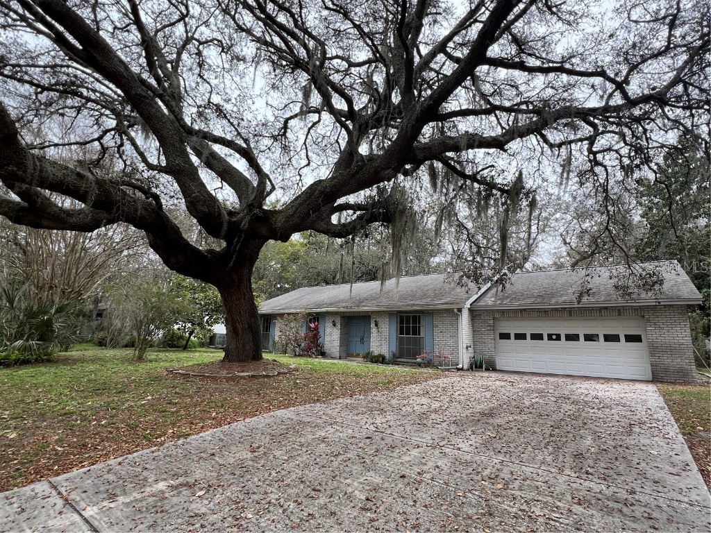 7803 N Whittier Street Tampa FL 33617 T3515196 image1