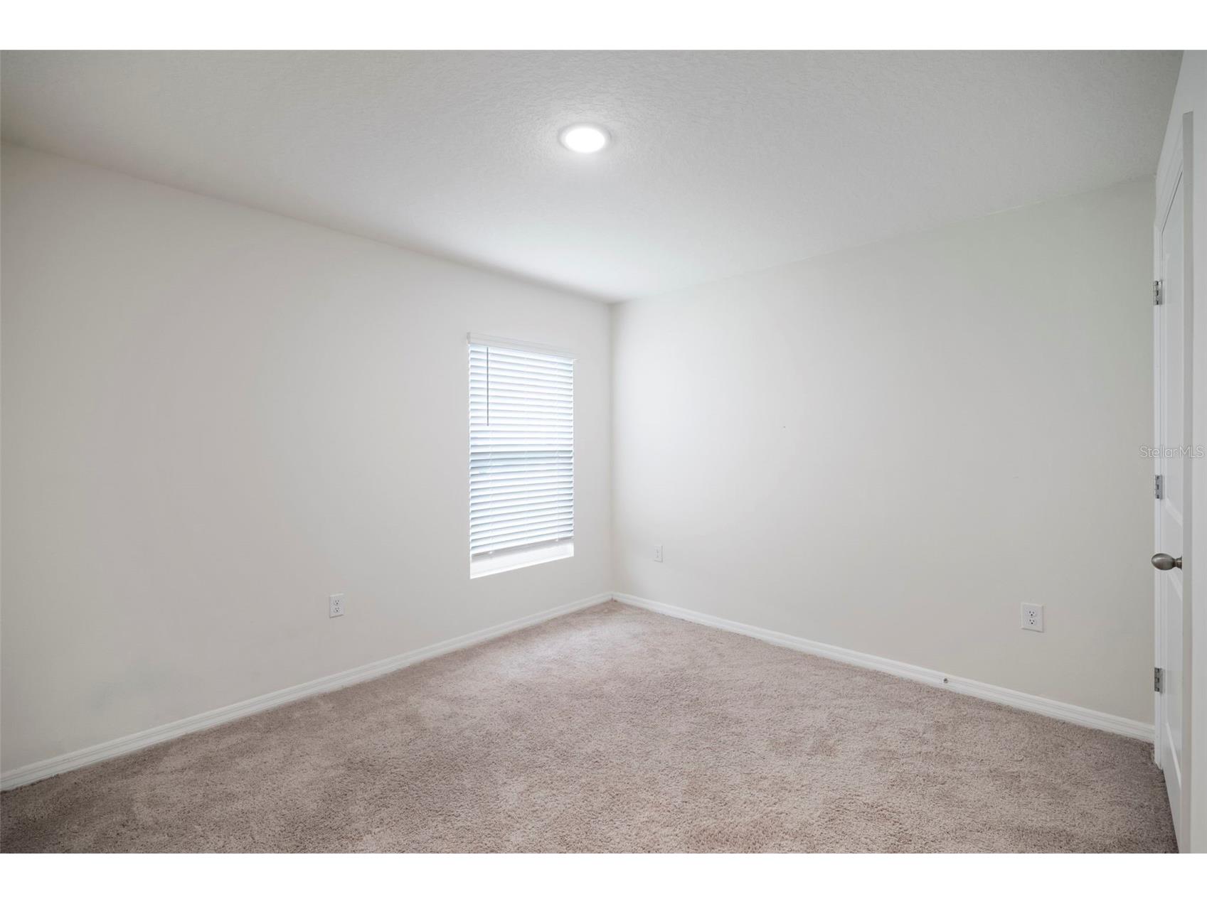 7804 Davie Ray Drive Zephyrhills FL 33540 TB8421102 image18