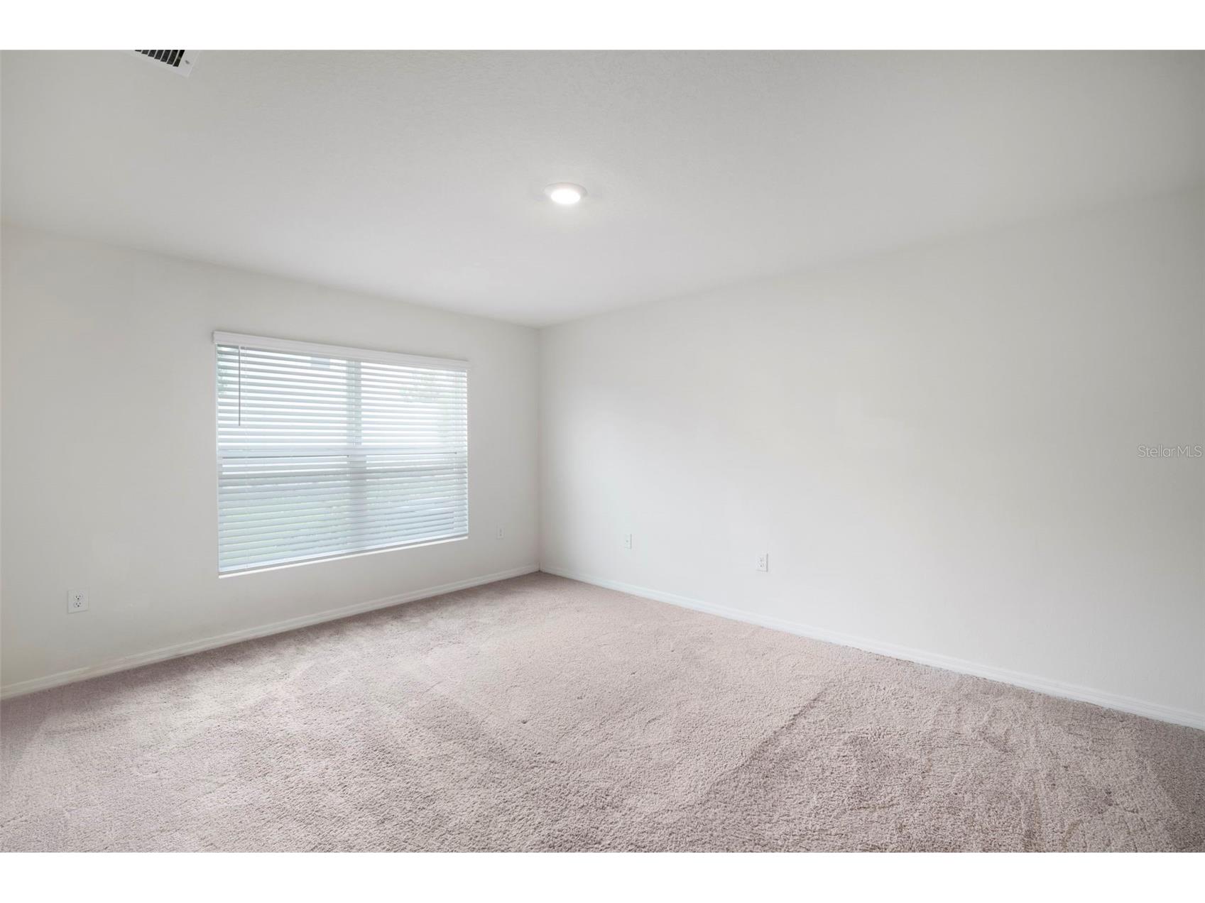 7804 Davie Ray Drive Zephyrhills FL 33540 TB8421102 image25